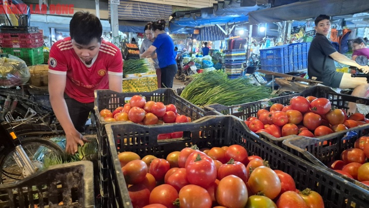 Hành lá tăng giá rất cao đợt này