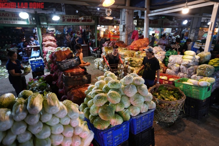 Bắp cải, mặt hàng vốn rẻ tiền nay có giá gấp đôi, hơn 20.000 đồng/kg