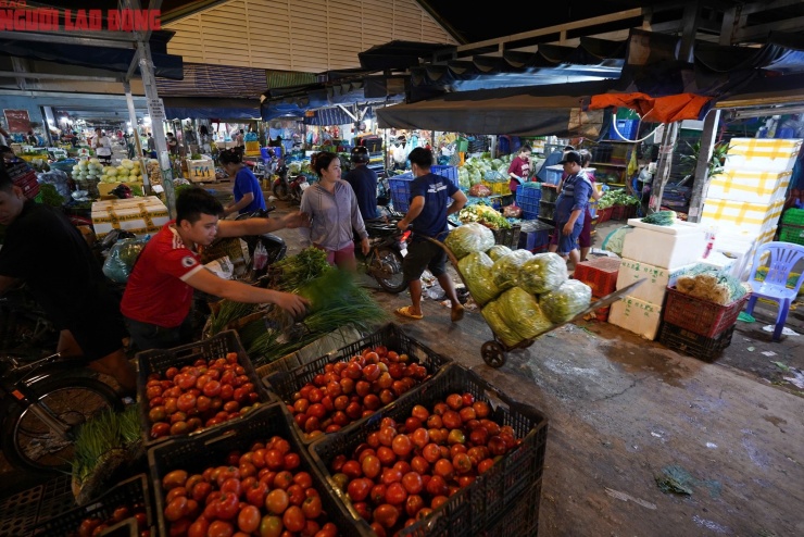 Nguồn rau từ Lâm Đồng ảnh hưởng nặng