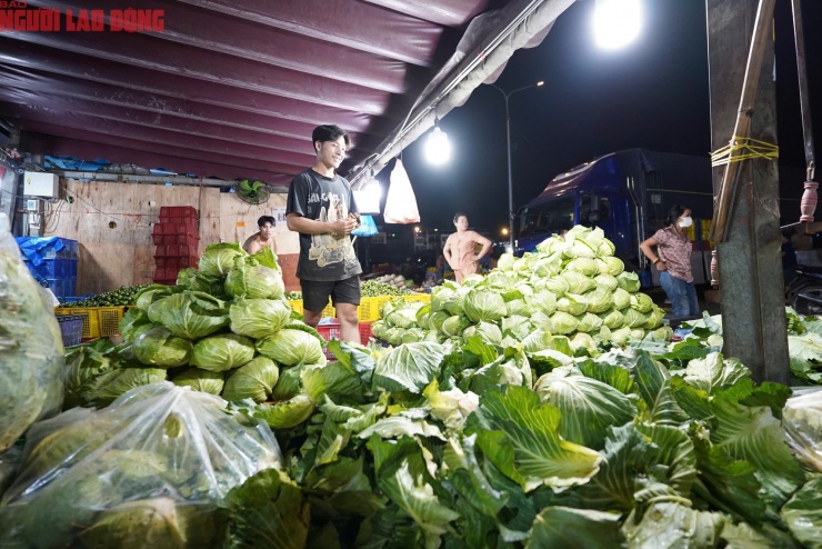 Một hàng kinh doanh bắp cải