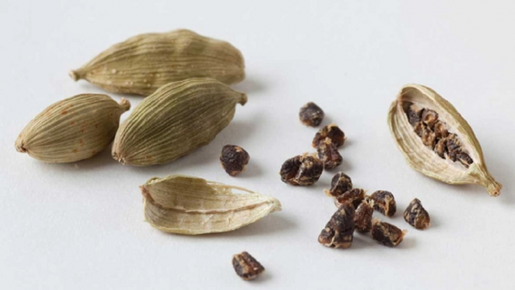 Loại hạt đắt đỏ bậc nhất thế giới, 2 triệu đồng/kg chỉ hơn 10 nước trồng được, ở Việt Nam cũng có - 3