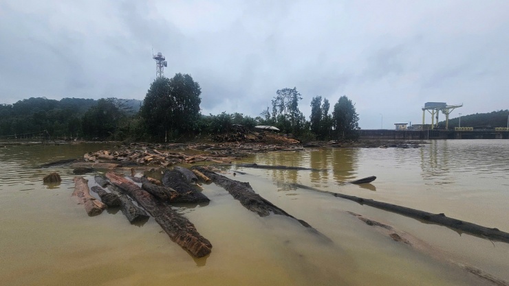 Những khúc gỗ mục nằm cách chân đập thủy điện Bình Điền ở phía thượng nguồn không xa.