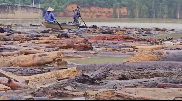 Một số người dân chèo ghe đi vớt củi.