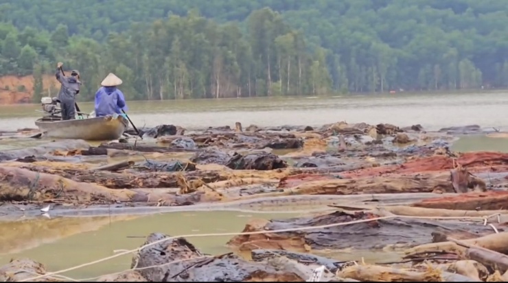 Ngoài số gỗ, củi đã được chủ hồ vớt lên thì hiện vẫn còn khá nhiều thân gỗ lớn nằm nổi trên mặt hồ thủy điện.