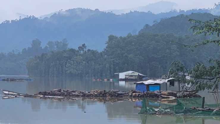 Người dân sau khi vớt gỗ trên lòng hồ thủy điện thì tập kết thành từng đống.