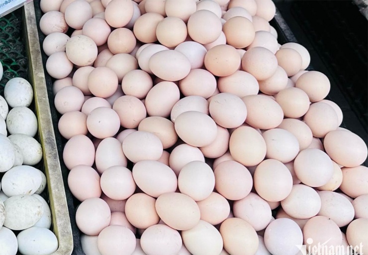 Giá trứng gà tăng mạnh và ở ngưỡng cao. Ảnh: Tâm An