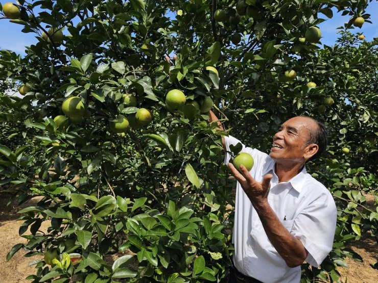 Lão nông Bế Văn Mai. Ảnh: CTV