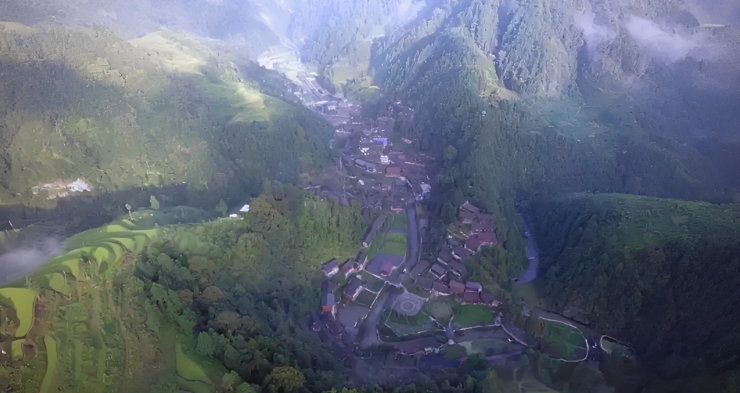 Những cánh rừng xanh phủ kín làng Cách Đầu, mang lại sinh kế ổn định cho người dân. Ảnh: Baidu