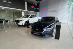 Thị trường xe gầm thấp thoái trào