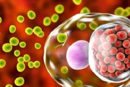 Thanh niên 22 tuổi ở Hà Nội đau họng kéo dài, đi khám mới thừa nhận một sai lầm trong chuyện 'thầm kín'