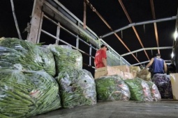 Những ngày chưa từng có của chợ đầu mối rau lớn nhất TPHCM