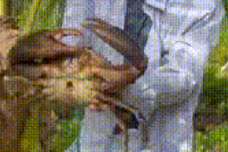 Thị trường - Tiêu dùng - Hé lộ bất ngờ từ người sở hữu "vua cua" Cà Mau