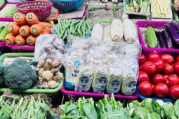 Thị trường - Tiêu dùng - Giá rau xanh có loại 180.000 đồng/kg, tôm hùm chỉ còn 200.000 đồng/kg