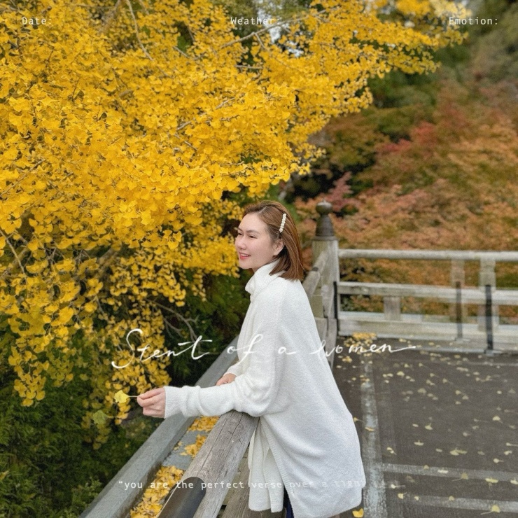 Sau thời gian dài tạm ngừng hoạt động nghệ thuật để chăm sóc tổ ấm, gần đây Hương Giang thường xuyên cập nhật cuộc sống hằng ngày lên trang cá nhân cũng như ít nhiều hé lộ những khoảnh khắc hạnh phúc bên chồng, nhận được sự quan tâm đặc biệt của đông đảo khán giả.
