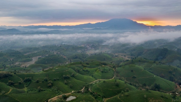 Ẩn mình tại xã Long Cốc (Phú Thọ), những đồi chè hình bát úp nơi đây đang trở thành điểm đến mê hoặc với bất kỳ du khách nào yêu thiên nhiên và săn ảnh đẹp. Ảnh Tony Luận