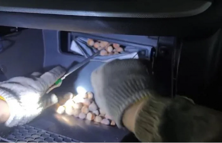 Nghe tiếng động lạ, người đàn ông cúi xuống gầm xe thấy cảnh tượng "nổi da gà" - 1