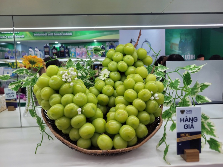 Cách phân biệt nho sữa Hàn Quốc nhập khẩu chính ngạch với nho sữa không rõ nguồn gốc, xuất xứ - 1