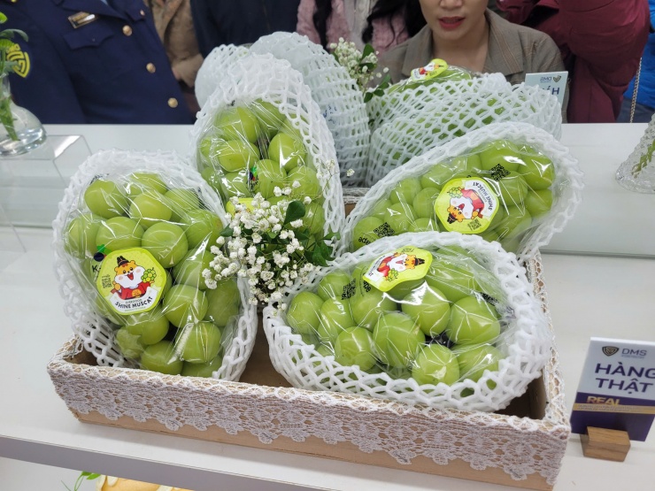 Cận cảnh sản phẩm nho sữa không rõ nguồn gốc xuất xứ (ảnh trên) và nho sữa nhập khẩu chính ngạch Hàn Quốc với mã QR code có thể truy xuất đến địa chỉ giới thiệu chi tiết về sản phẩm của đơn vị chịu trách nhiệm sản phẩm Evergood tại Hàn Quốc. Ảnh: Bảo Loan