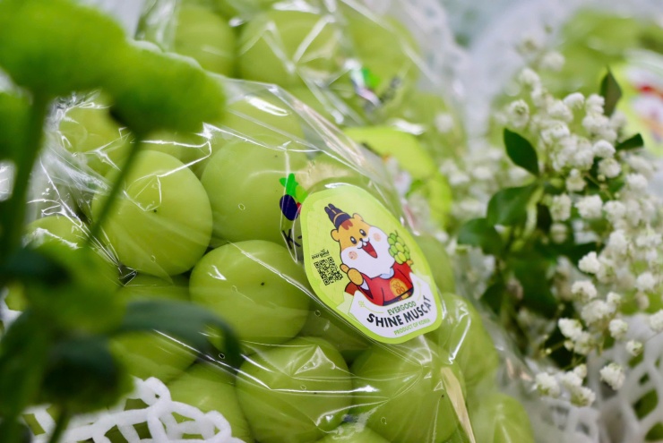 Cận cảnh sản phẩm nho sữa nhập khẩu chính ngạch, có mã QR code trên bao bì để người tiêu dùng truy xuất nguồn gốc. Ảnh: Bảo Loan