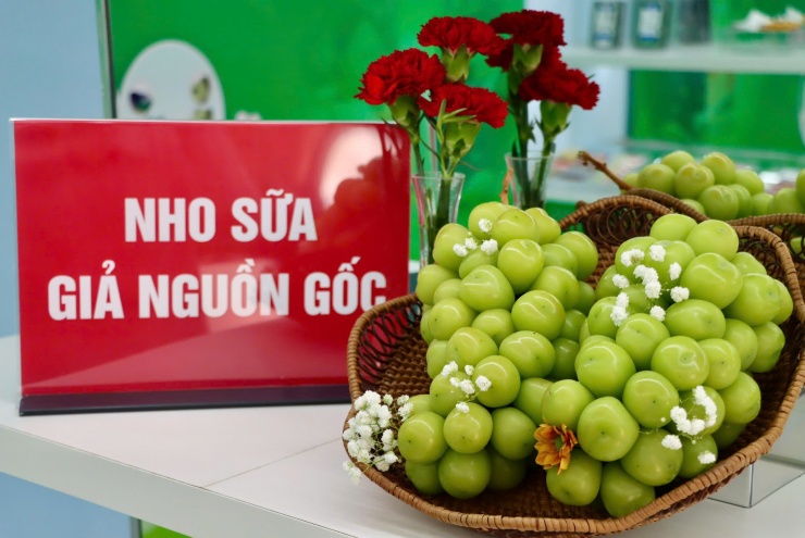 Ông Lê khuyến cáo, trong thời điểm thị trường trái cây nhập khẩu biến động, người tiêu dùng nên lựa chọn sản phẩm có đầy đủ tem nhãn, nguồn gốc rõ ràng và mua tại cửa hàng uy tín để tránh mua nhầm nho đội lốt Hàn Quốc. Ảnh: Bảo Loan