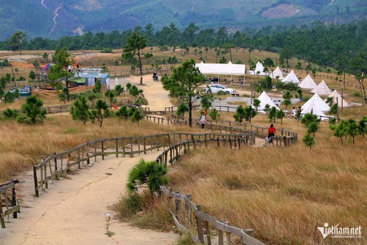 Đỉnh Phượng Hoàng đang vào mùa đẹp nhất trong năm khi thảm cỏ dần chuyển sang màu vàng