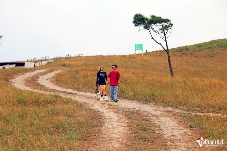 Gia đình anh Vũ Tuấn Anh nhiều lần tới đỉnh Phượng Hoàng nhưng mỗi lần đi lại là một trải nghiệm mới mẻ khi quanh năm nơi đây đều đẹp