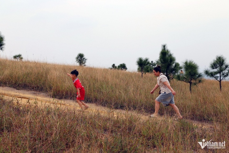 Số khác đi theo gia đình để có những trải nghiệm rời xa thành thị đông đúc