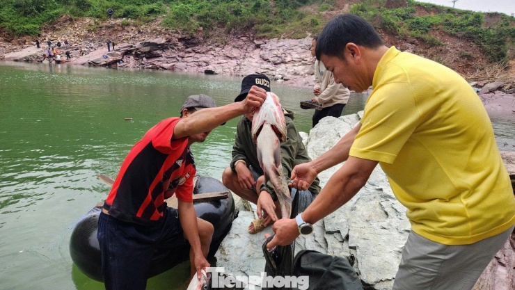 “Đây là dịp hiếm hoi để chúng tôi tranh thủ kiếm thêm thu nhập. Hôm nay, tôi cùng ba người nữa đánh bắt được khoảng 200 kg cá, bán được vài triệu đồng. Việc đi đánh cá vừa vui, vừa có thêm tiền nên ai cũng hào hứng,” anh Trần Đức Thắng, trú tại xã Cẩm Duệ, chia sẻ.