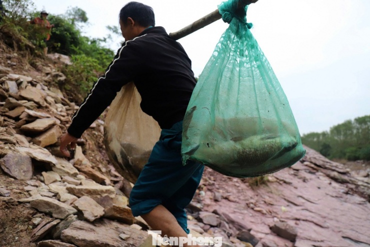 Hồ Kẻ gỗ dừng xả lũ, người dân đổ xô đi săn cá 'khủng' - 12