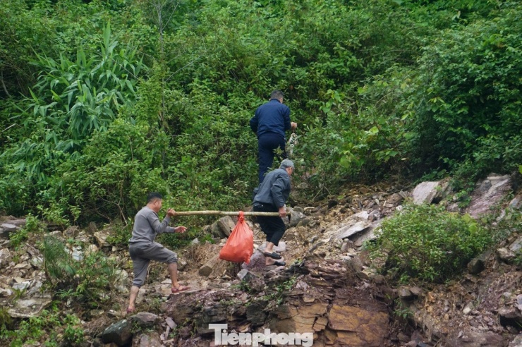 Cá sau khi được xâu lại sẽ cho vào bao tải để người dân cõng hoặc gánh lên bờ. Mỗi ngày đi săn “cá khủng” dưới tràn xả lũ, một nhóm thợ thường bắt được ít nhất khoảng 30 kg, còn khi trúng lớn có thể thu hơn 300 kg. Nhờ đó, họ kiếm được từ vài trăm nghìn đến cả triệu đồng mỗi ngày, thậm chí có gia đình may mắn thu về 3-4 triệu đồng.