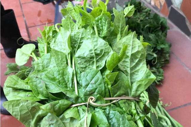 Loại rau thả lẩu hải sản khiến bổ dưỡng hơn, thơm ngon khó cưỡng, ngăn ngừa hấp thu chất béo - 4