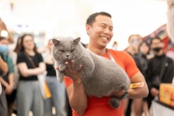 Nhịp sống trẻ - Sức hút “bạc tỷ” từ nuôi mèo quý tộc và cuộc đua đầu tư của các thương hiệu lớn