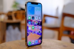
                Top iPhone giá dưới 10 triệu đồng vẫn đáng mua hiện nay            