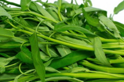 Ẩm thực - Loại rau thả lẩu hải sản khiến bổ dưỡng hơn, thơm ngon khó cưỡng, ngăn ngừa hấp thu chất béo