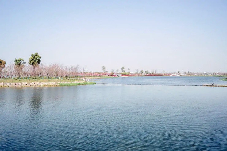 Khu du lịch gây tranh cãi khi bắt chó trả tiền tham quan, mèo được miễn phí - 3