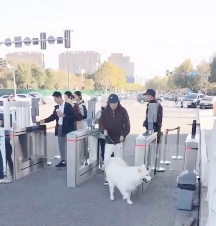 Khu du lịch gây tranh cãi khi bắt chó trả tiền tham quan, mèo được miễn phí - 1