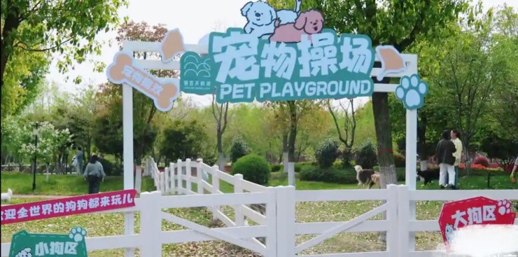 Khu du lịch gây tranh cãi khi bắt chó trả tiền tham quan, mèo được miễn phí - 4