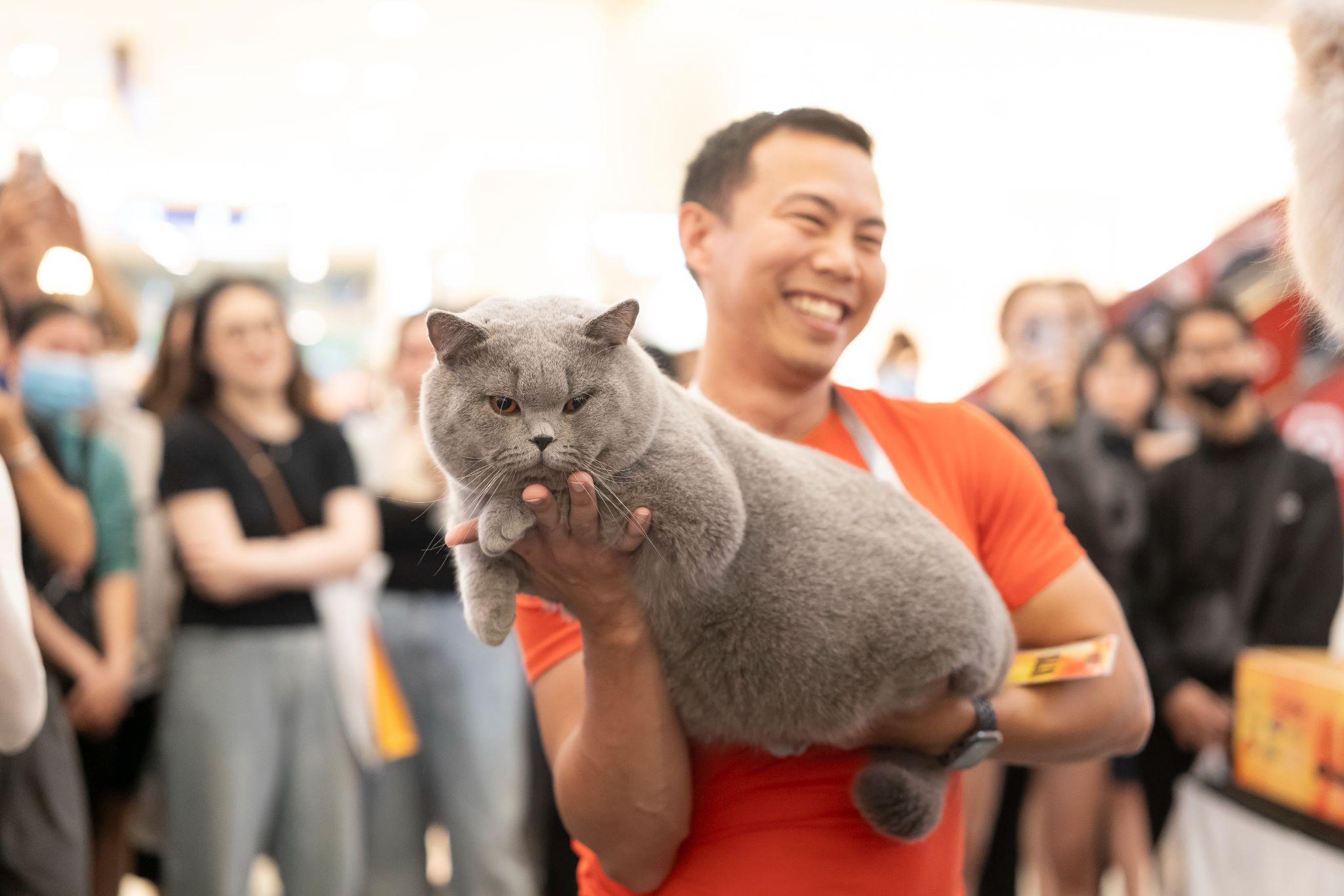 Hàng ngày, ngoài cho mèo chải lông, tắm nắng, vệ sinh mắt, mũi, người nuôi còn thường xuyên trò chuyện, nô đùa với mèo.