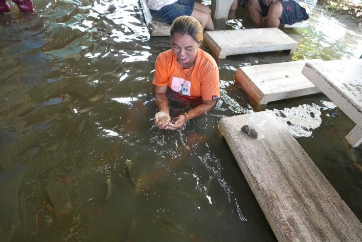 Hình ảnh ngập lụt ở Thái Lan. Ảnh: AP