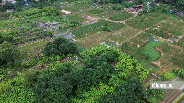 Khu đô thị 7.000 tỷ đồng ở Hà Nội sau 15 năm vẫn là nơi trồng rau, nuôi gà - 6