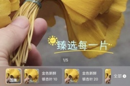 Nhặt lá rụng đầy đường đem lên mạng bán, người tiêu dùng đổ xô đi mua