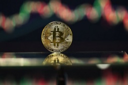 Bitcoin rơi tự do: Ai đang thực sự kéo thị trường đi xuống?