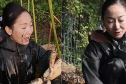 Bạn trẻ - Cuộc sống - Nữ doanh nhân vỡ nợ hơn 18 tỷ đồng, lặn lội đào củ sen làm lại từ đầu