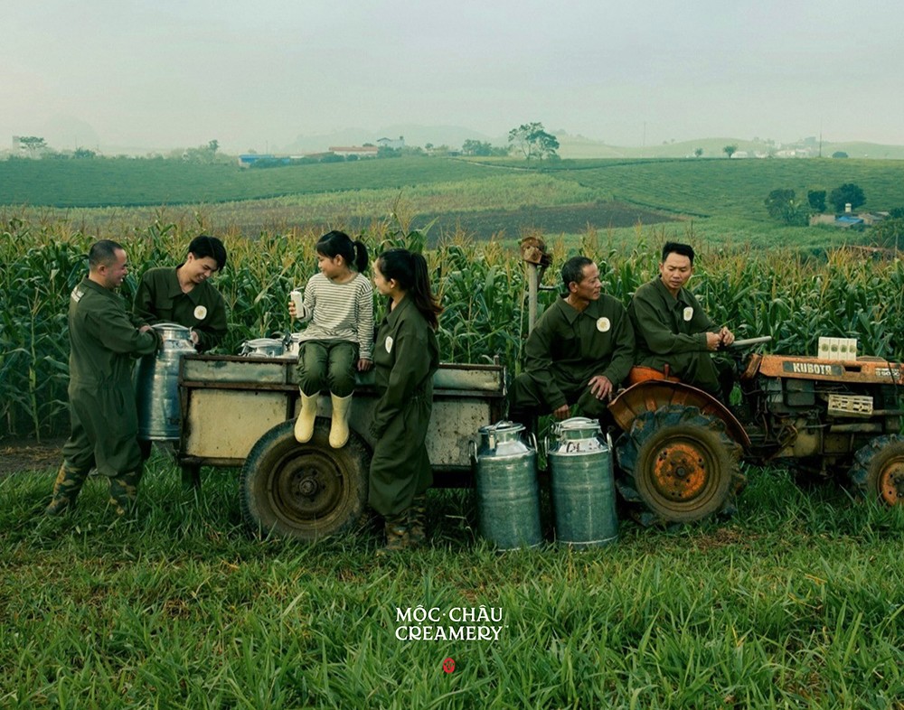 Những giọt sữa nguyên bản từ cao nguyên, thanh mát và ngọt lành, mang hương vị đặc trưng của “Vành đai vàng sữa Mộc Châu”.