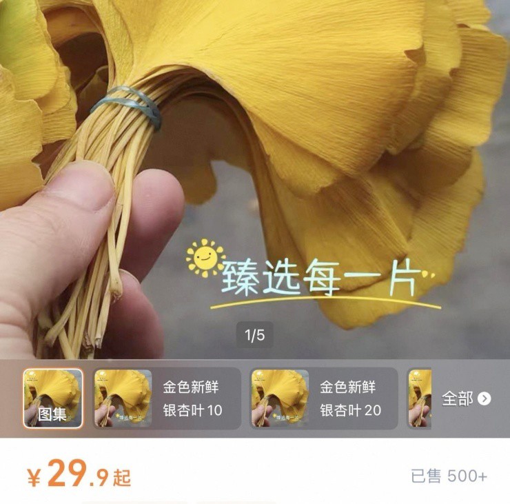 Nhặt lá rụng đầy đường đem lên mạng bán, người tiêu dùng đổ xô đi mua - 1