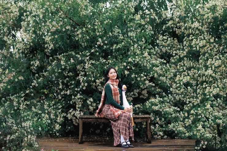 Không chỉ nổi tiếng với mai anh đào, cẩm tú cầu hay dã quỳ vàng rực rỡ, Đà Lạt còn sở hữu một “báu vật” ít người biết: dã quỳ trắng. Loài hoa mảnh mai nhưng đầy sức sống này nở lặng lẽ ở vùng ngoại ô, mang đến sắc trắng thanh khiết hiếm gặp, khiến nhiều du khách bất ngờ khi tình cờ bắt gặp. Ảnh Bùi Huy Tưởng