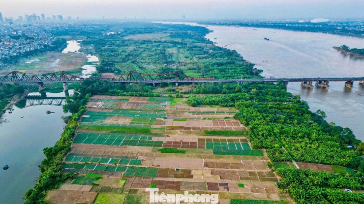 Dự án nghiên cứu diện tích 11.000 ha, trong đó trục đại lộ sông Hồng chiếm 7.800 ha, thuộc địa giới hành chính 16 phường, xã: Thượng Cát, Đông Ngạc, Phú Thượng, Hồng Hà, Lĩnh Nam, Bồ Đề, Long Biên, Ô Diên, Thanh Trì, Nam Phù, Hồng Vân, Mê Linh, Thiên Lộc, Vĩnh Thanh, Đông Anh, Bát Tràng.