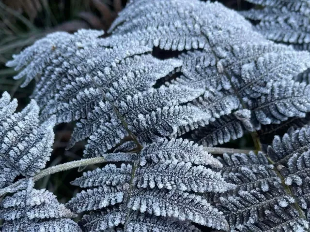 Xã Y Tý xuất hiện băng giá đầu mùa, nhiệt độ xuống 3 độ C