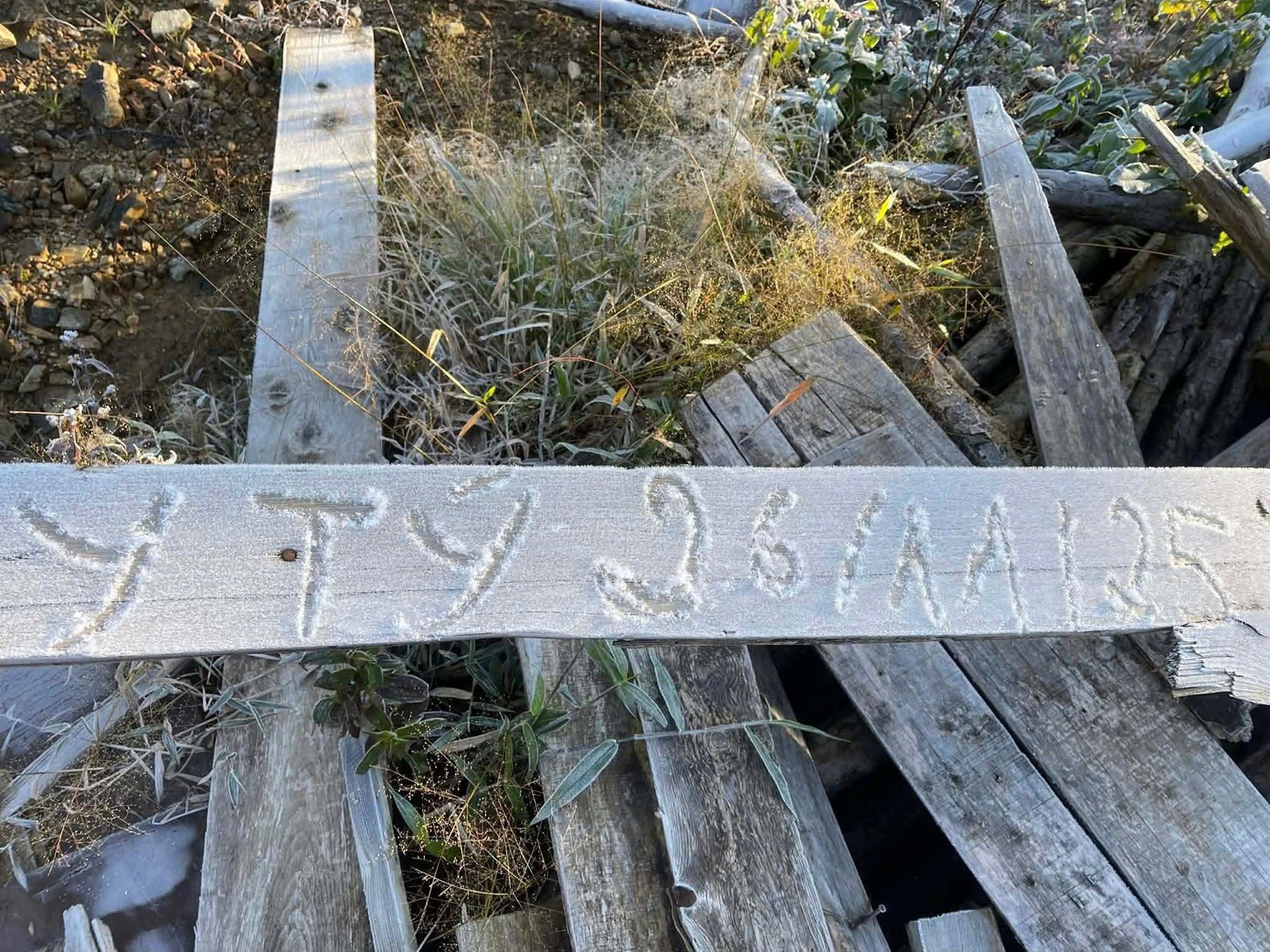 Băng giá xuất hiện vào sáng 26/11 tại xã Y Tý. Ảnh: NDCC.