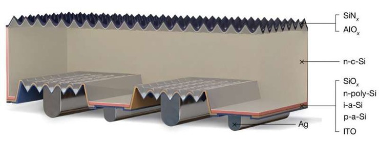 Sơ đồ cấu trúc tế bào HIBC.